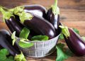 خواردنی باینجان چ سوودێکی بۆ تەندرووستی جەستە هەیە؟