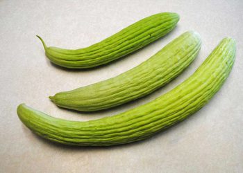 سوودە تەندرووستییەکانی ترۆزی