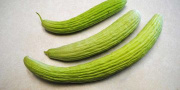 سوودە تەندرووستییەکانی ترۆزی
