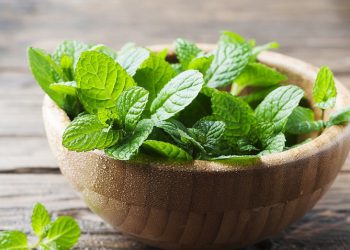 نەعنا هەستی تێربوون بە مرۆڤ دەبەخشێت