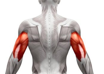 گەشەکردنی ماسولکەکان بەم هەشت خواردنە