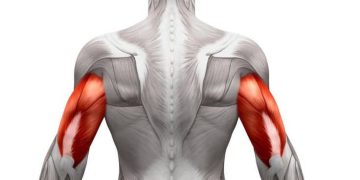 گەشەکردنی ماسولکەکان بەم هەشت خواردنە