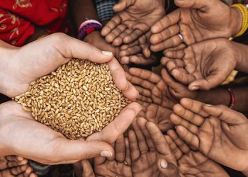 وڵاتانی جیهان چۆن ڕوبەڕوی بەرزبوونەوەی نرخی خۆراک ببنەوە؟