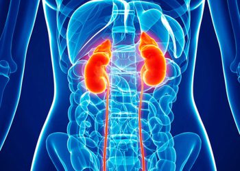 چی لە سەر شێرپەنجەی گورچیلە دەزانین؟