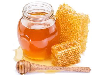 ئایا توشبووانی شەکرە دەتوانن هەنگوین بخۆن؟