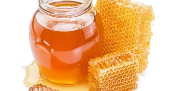 ئایا توشبووانی شەکرە دەتوانن هەنگوین بخۆن؟