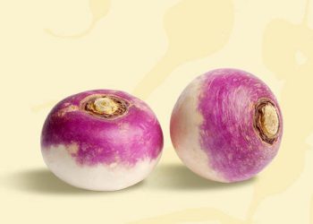 چەند سوودێکی خواردنی شێلم بزانە