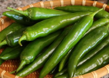 بیبەری توون و چەند زانیارییەکی گرنگ