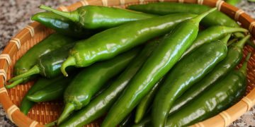 بیبەری توون و چەند زانیارییەکی گرنگ