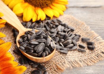 خواردنی گوڵەبەڕۆژە چ سوودێکی تەندرووستیی هەیە؟