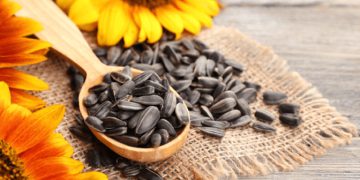 خواردنی گوڵەبەڕۆژە چ سوودێکی تەندرووستیی هەیە؟