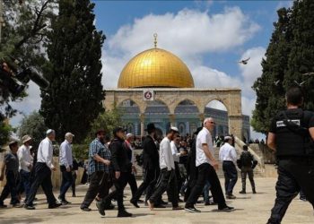 ساڵی ڕابردوو 262 جار هێرش کراوەتە سەر مزگەوتی ئەقسا