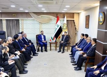 ئەعرەجی: ئێران و عێراق ئامانجی هاوبەشیان هەیە