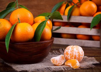 ژنان گرنگی بە خواردنی لالەنگی بدەن