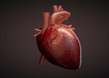 پەیوەندی نێوان شەکرە و نەخۆشییەکانی دڵ