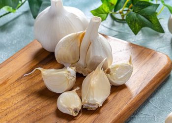 خواردنی سیر چ کاریگەرییەکی لە سەر تەندرووستی جەستە دەبێت؟