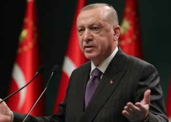 ئەردۆغان بۆ وڵاتانی ڕۆژئاوا: فێرتان دەکەین ئازادی ڕادەربڕین وا نییە