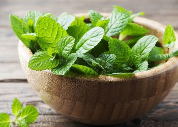 نەعنا سوودی بۆ پیاوان هەیە یان ژنان؟