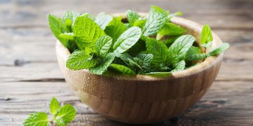نەعنا سوودی بۆ پیاوان هەیە یان ژنان؟