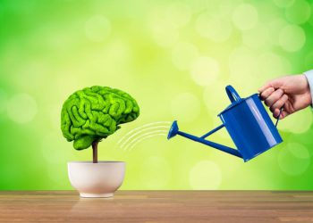 چەند ڤیتامینێک بۆ بەهێزکردنی یادەوەری