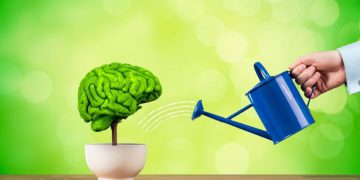 چەند ڤیتامینێک بۆ بەهێزکردنی یادەوەری