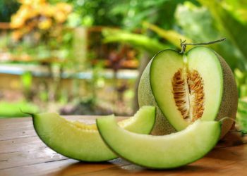 سوودە تەندرووستییەکانی خواردنی کاڵەک بۆ جەستە