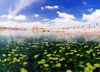 سەراوی نیلوفەڕ؛ شوێنێکی گەشتیاری لە پارێزگای کرماشان