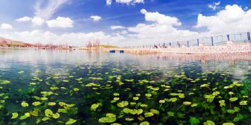 سەراوی نیلوفەڕ؛ شوێنێکی گەشتیاری لە پارێزگای کرماشان