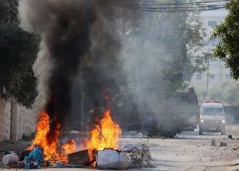 چەند وانەیەک لە حەماسەتی جنین