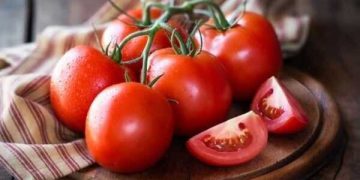 ئایا دەبێت تەماتە زۆر بخورێت؟
