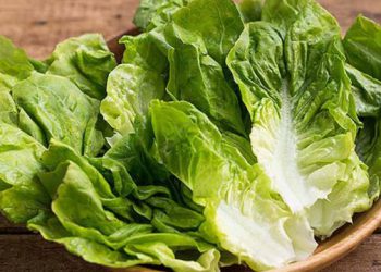 خواردنی کاهو بۆ جەستە بە تایبەت پێست زۆر باشە