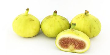 سوودە تەندرووستییەکانی خواردنی هەنجیر