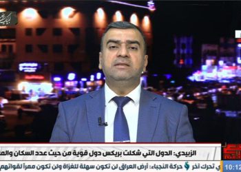 شرۆڤەکارێکی عەرەب: برێکس دەتوانێت بگاتە هاوپەیمانییەکی سەربازی