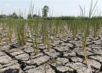 خەزنی ئاوی عێراق گەیشتووەتە کەمترین ئاستی خۆی لە هەموو مێژووی ئەو وڵاتەدا