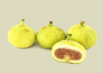 سوودە تەندرووستییەکانی خواردنی هەنجیر