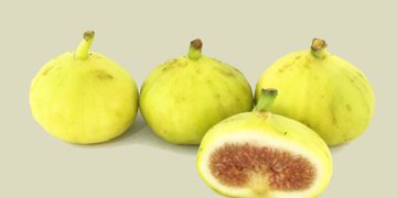 سوودە تەندرووستییەکانی خواردنی هەنجیر