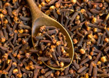 لە بەر ئەم هۆکارانە خواردنی مێخەک بۆ ژنان بە پێویست دادەنرێت