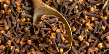 لە بەر ئەم هۆکارانە خواردنی مێخەک بۆ ژنان بە پێویست دادەنرێت