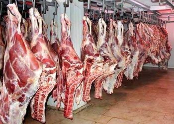 زیادەڕۆییکردن لە خواردنی گۆشتی سوور گرفتی تەندرووستی درووست دەکات