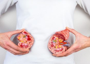 کێن ئەوانەی مەترسی توشبوونیان بە نەخۆشی سستبوونی گورچیلە لە سەرە؟