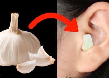 ئایا سیر دەتوانێت ڕوبەڕوی هەوکردنی گوێچکە ببێتەوە؟