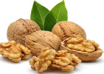 سوودە گرنگەکانی خواردنی گوێز