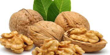 سوودە گرنگەکانی خواردنی گوێز