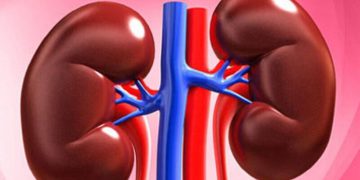 چەندین خووی باو کە زیان بە تەندرووستی گورچیلەکان دەگەێنێت