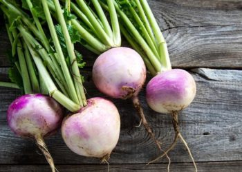 خواردنی شێلم؛ سوود و زیانەکان