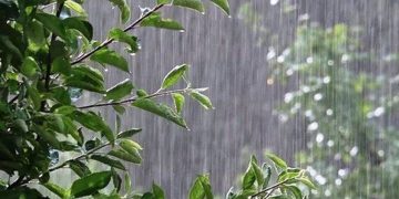 ئایا باران بۆ تەندرووستی مرۆڤ سوودی هەیە؟