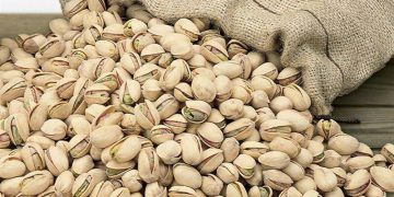 ئێران، 67 ملیۆن یۆرۆ هەناردەی فستقی بووە بۆ ئەورووپا/ چین 20 ملیۆن دۆلار فستقی لە ئێران کڕیوە