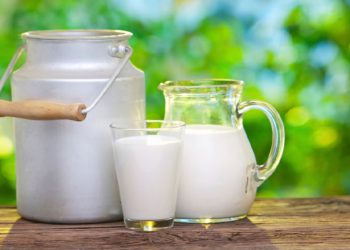 کاریگەرییەکانی خواردنی شیر لە سەر جەستە