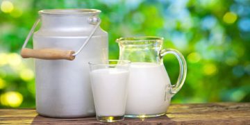 کاریگەرییەکانی خواردنی شیر لە سەر جەستە