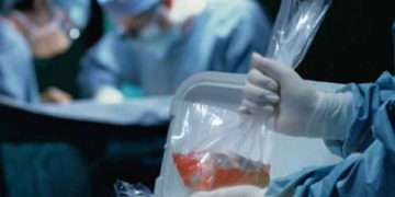 ڕژێمی زایۆنیستی بازرگانی بە پارچەی جەستەی شەهیدانی فەڵەستینەوە دەکات